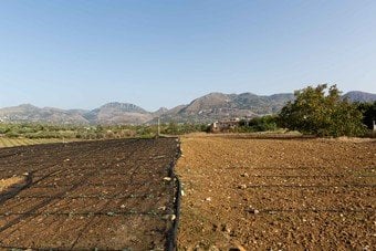 FPT INDUSTRIAL Y SLOW FOOD APOYAN A LAS COMUNIDADES DE PRODUCCIÓN SOSTENIBLE DE ALIMENTOS